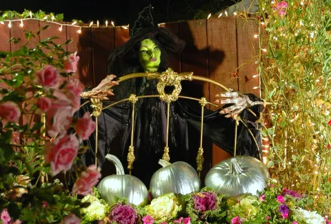 Una strega in un giardino lussureggiante