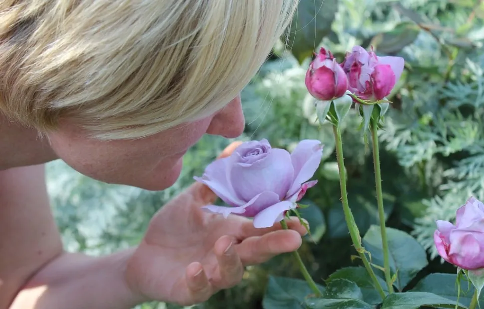 Kvinde indånder roser