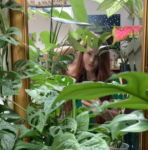 Alice and her urban jungle