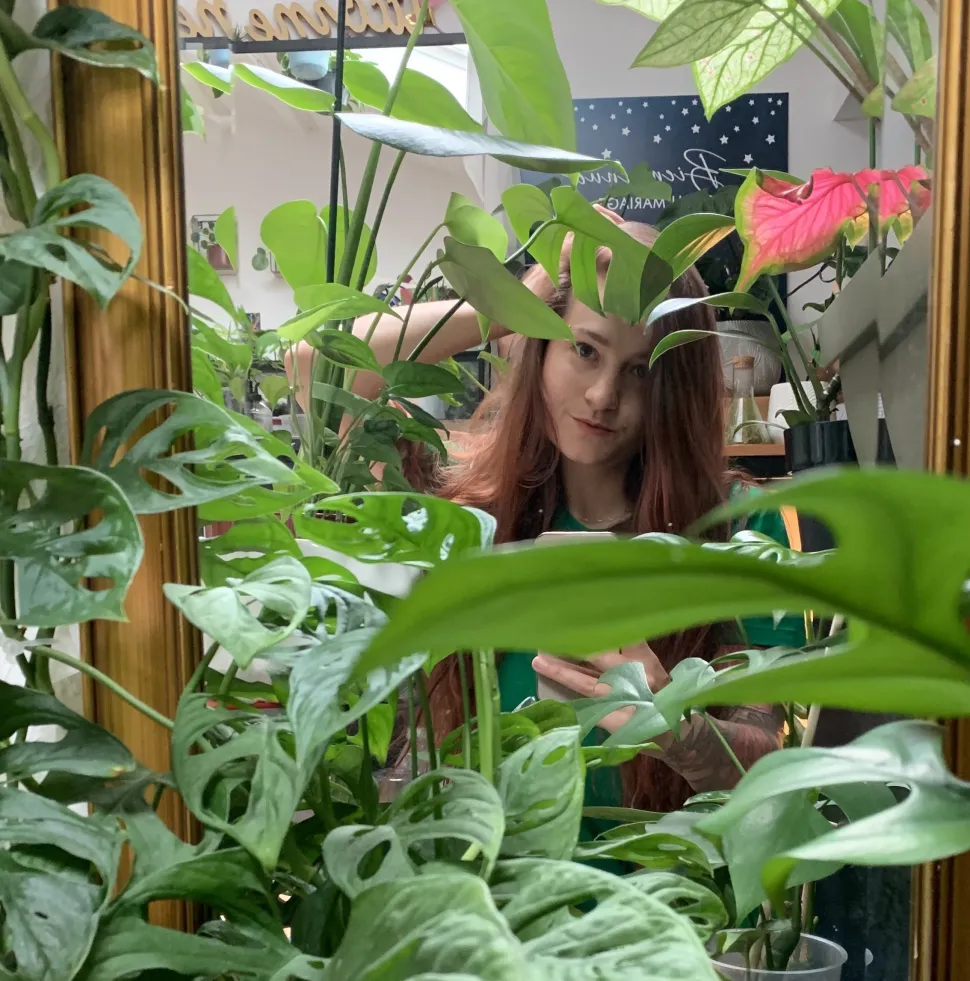 Alice og hendes urbane jungle
