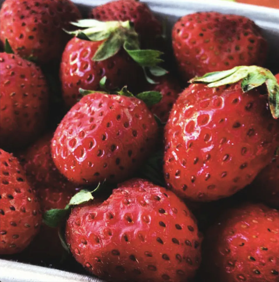 Mara des Bois strawberries