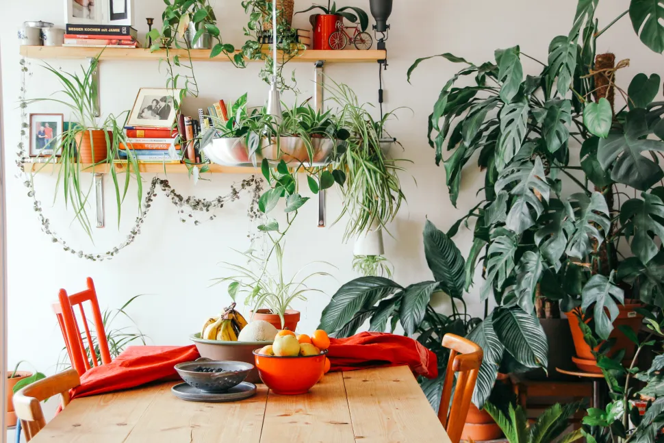 Salle à manger avec beaucoup de plantes vertes