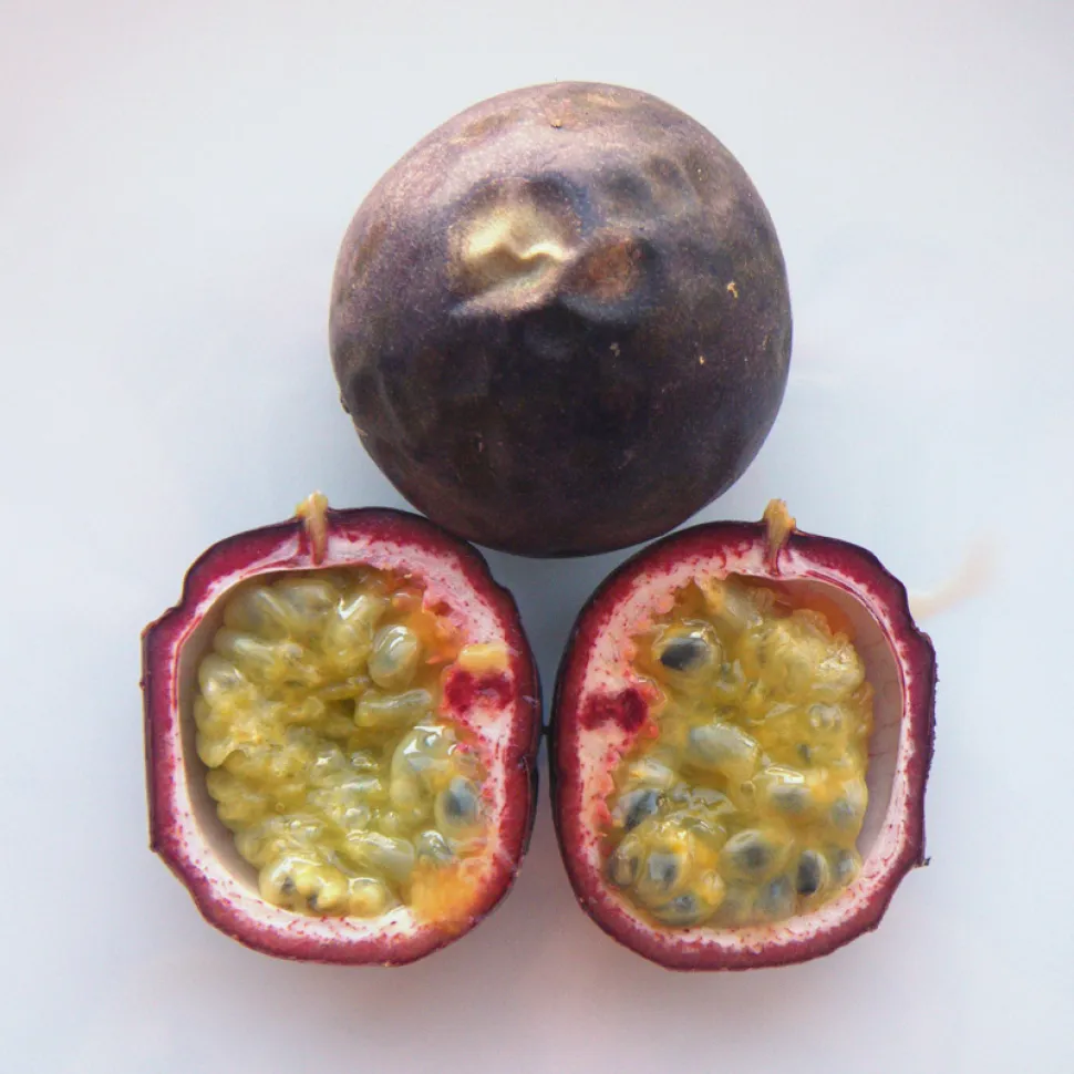 Passievrucht Passioflora f.edulis