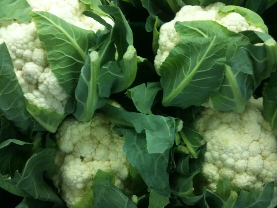 Cauliflower autumn white
