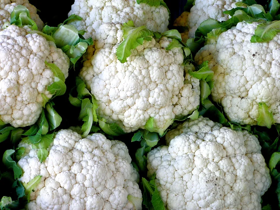 White apples cauliflower summer