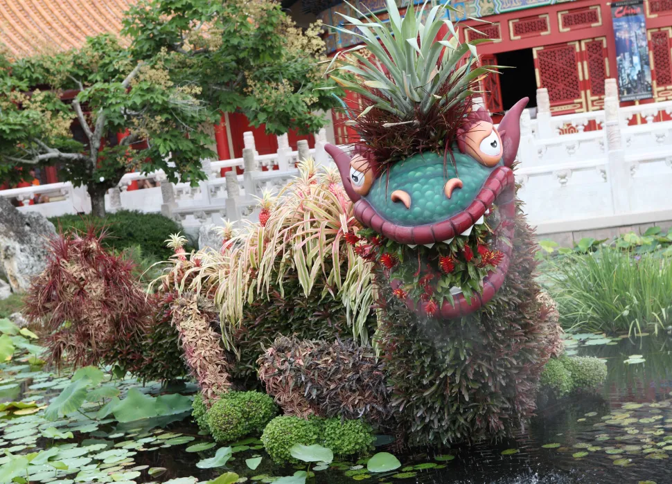 In 2024, we enter the Year of the Dragon