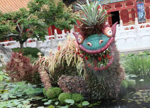 Nel 2024, entriamo nell'anno del drago