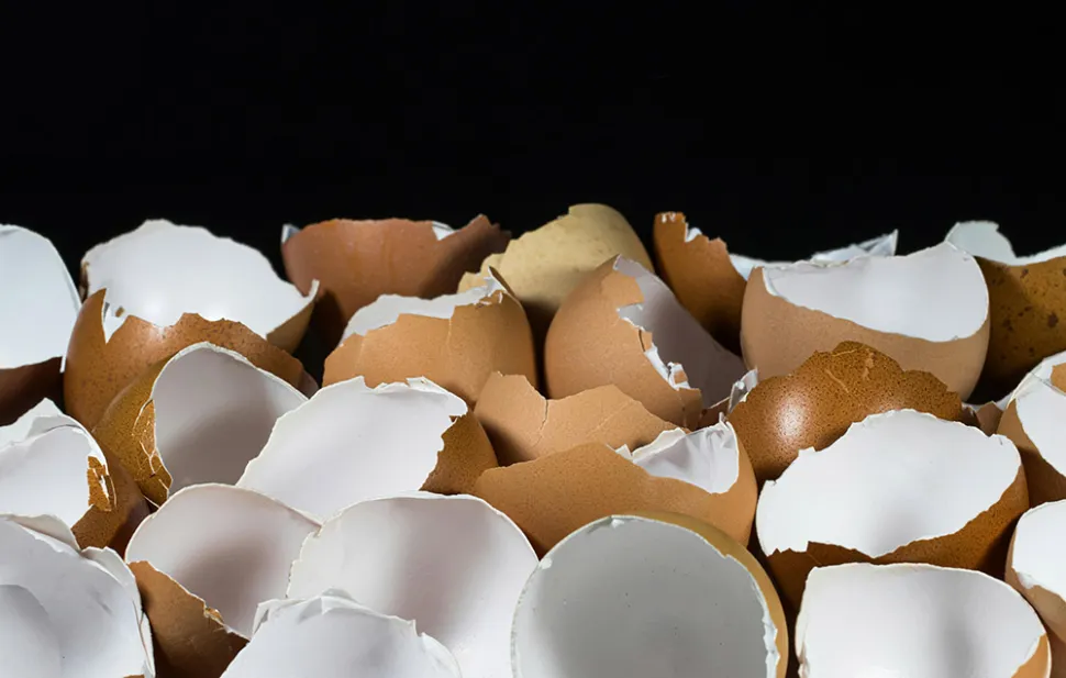 Eierschalen