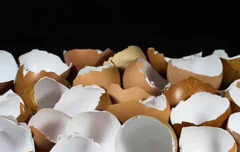 Eierschalen