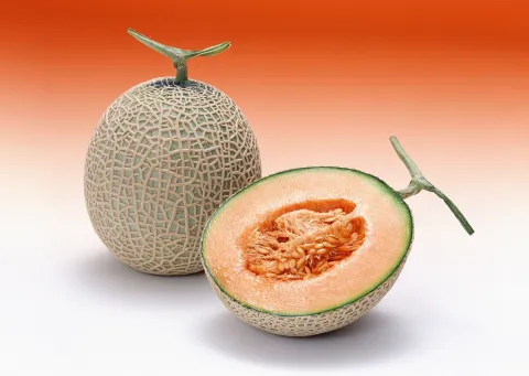 Melone ricamato Cucumi melo reticulatus