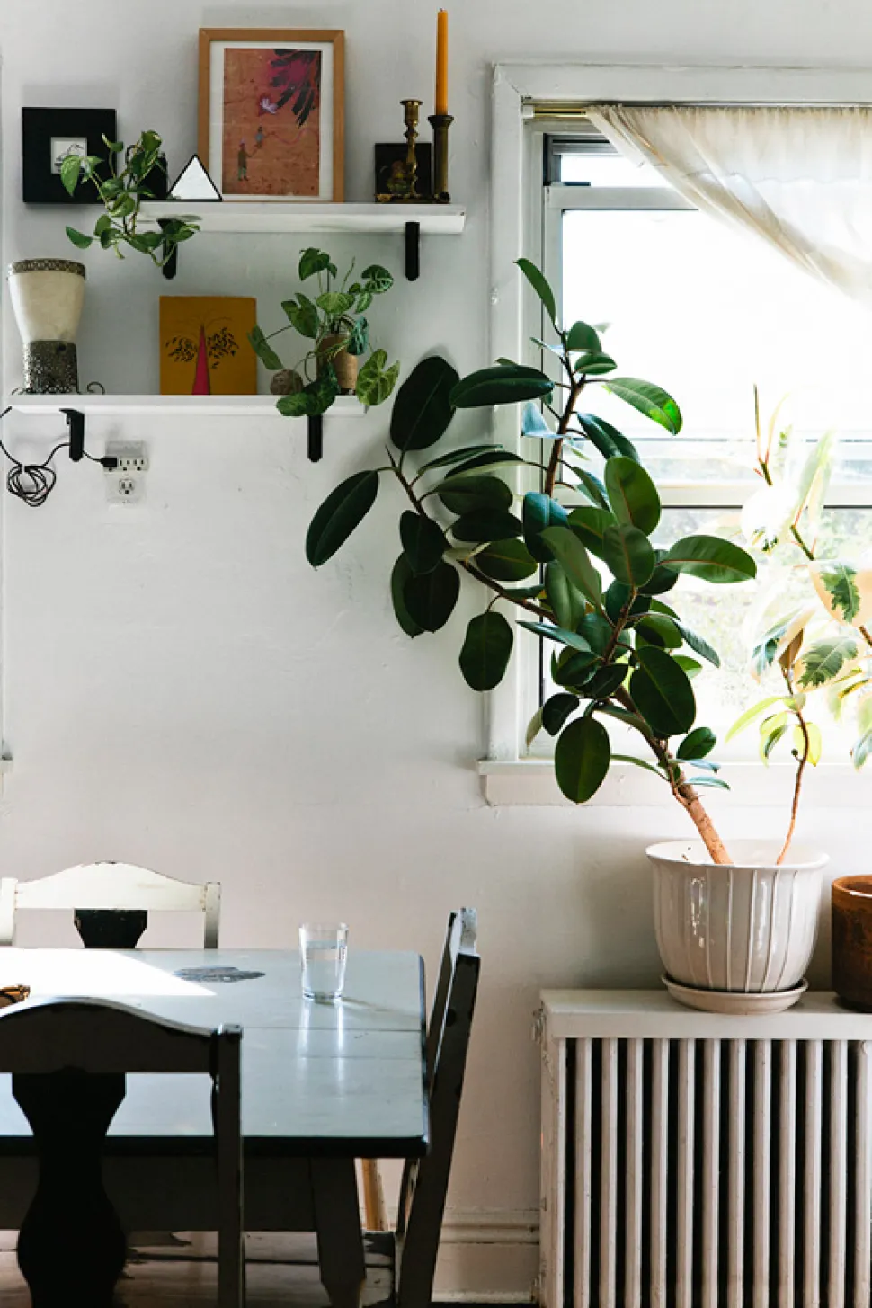 Kamerplanten met een glas water