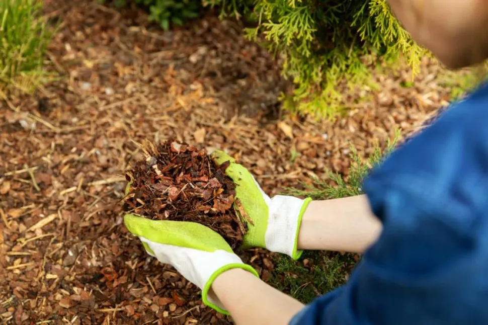 Gartner installerer plantemuld