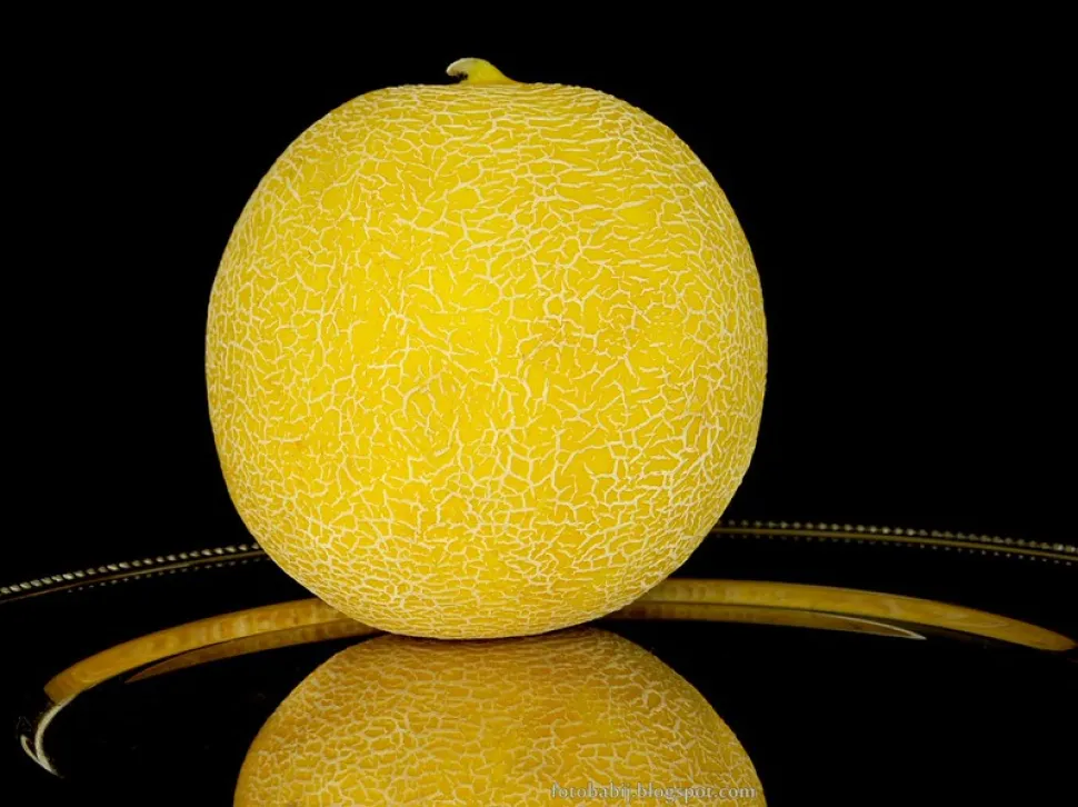 Melão amarelo bordado Galia