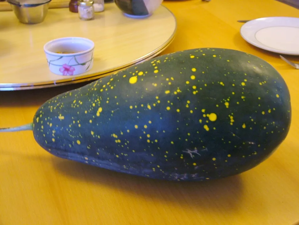 Anguria verde e gialla Luna e stelle