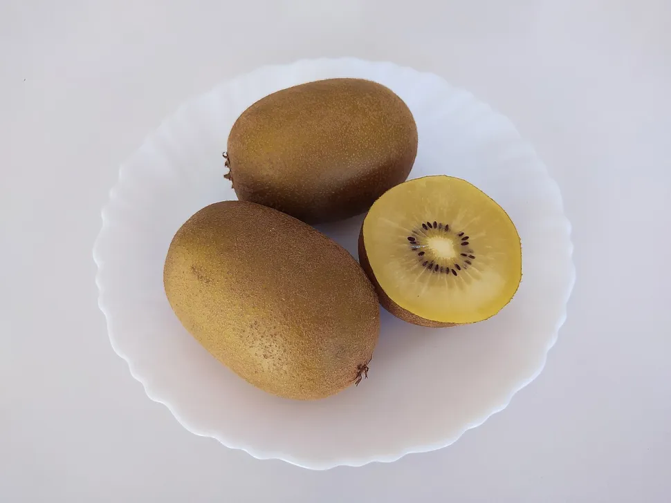 Frutos de kiwi amarelos Actinidia chinensis