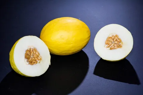 Gul melon med hvidt kød kanariefuglemelon