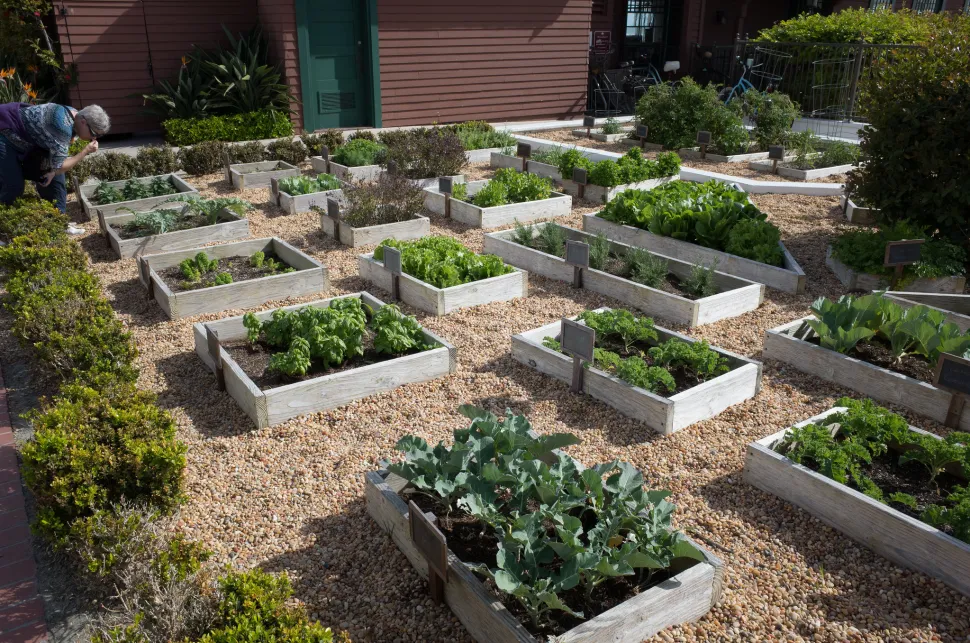 Giardino aromatico