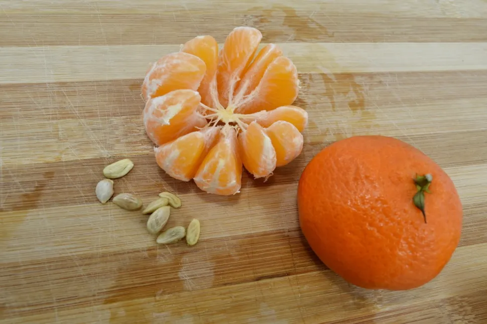 Pulpa y semillas de mandarina
