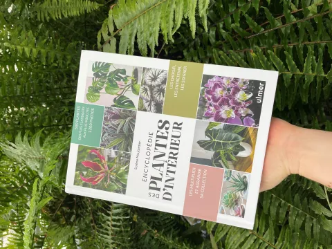 Encyklopædi om stueplanter