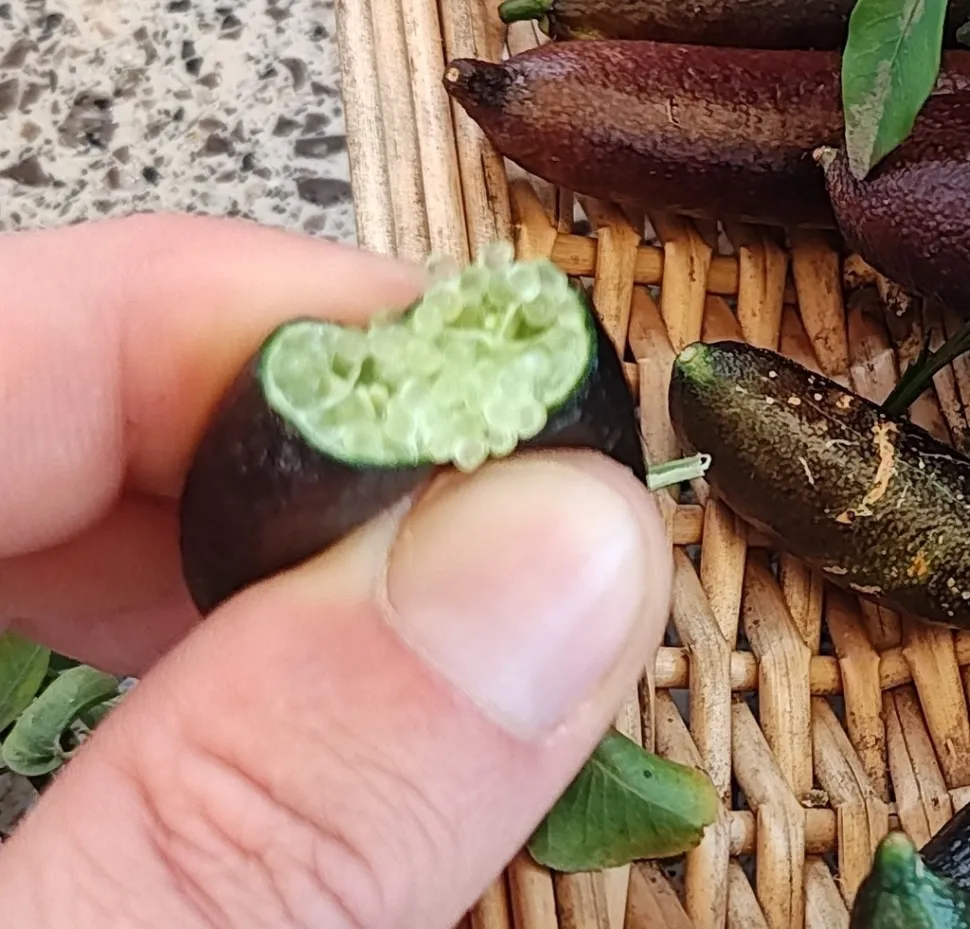 Frugt med citronkaviar