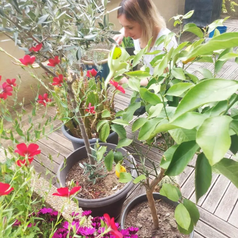 Planten op een terras