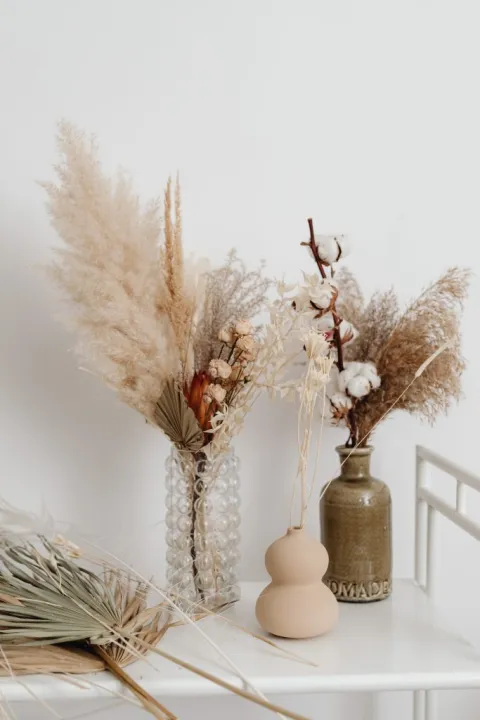 Pampas grass as a houseplant